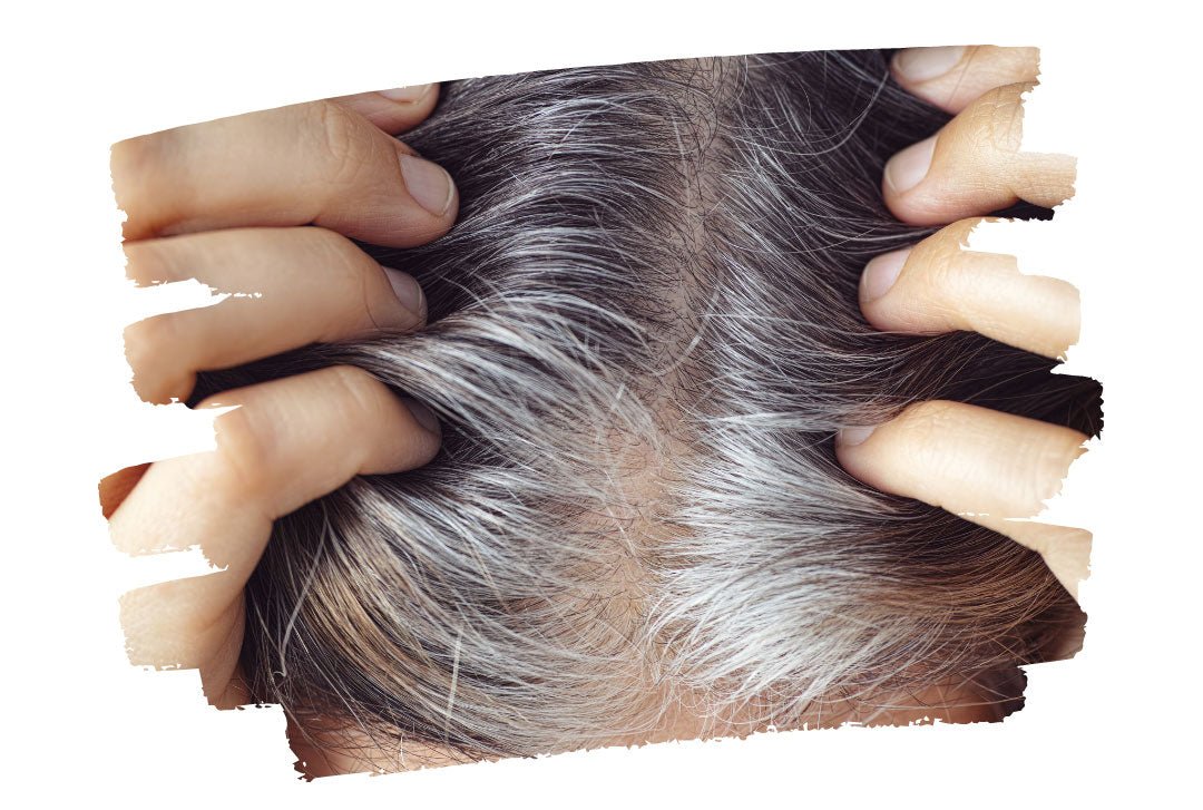 Doble coloración para cabellos con muchas canas - Henna Lovers