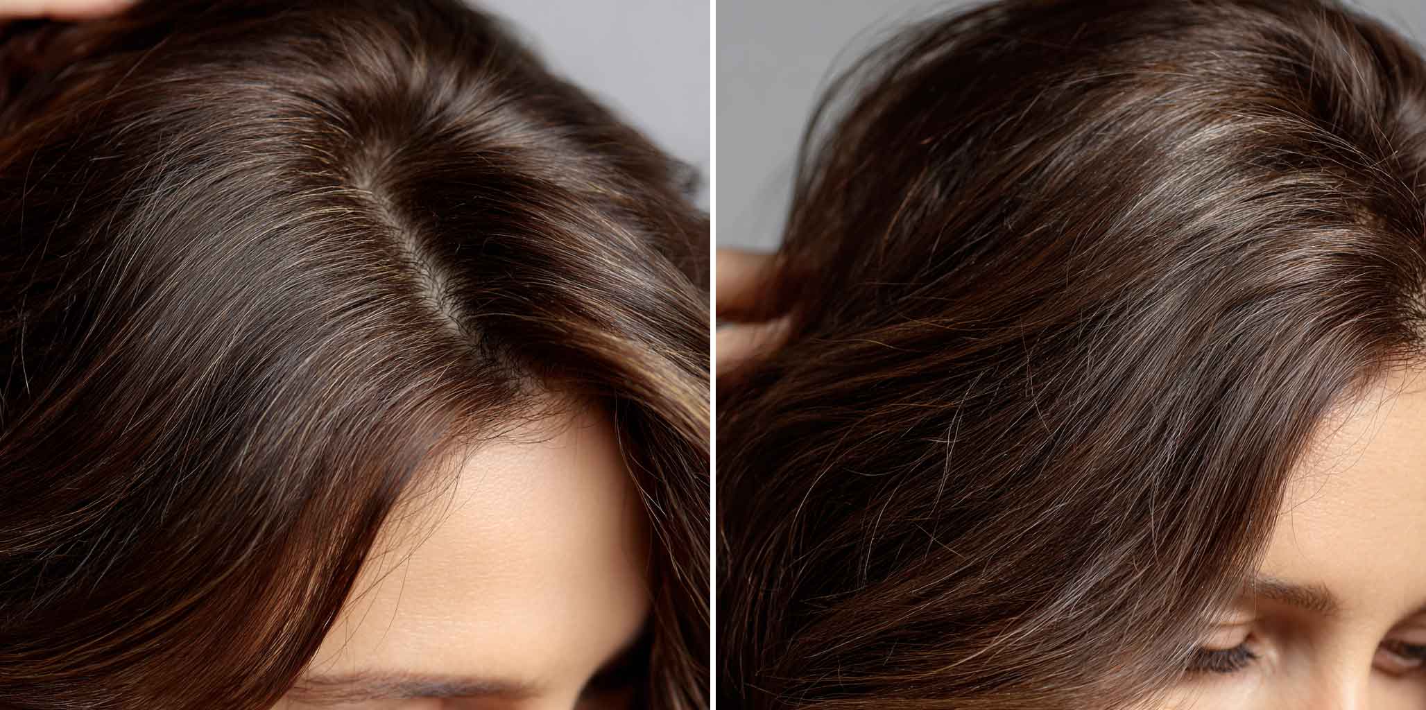 Transición de canas a color chocolate con henna natural, sin línea de raíz visible